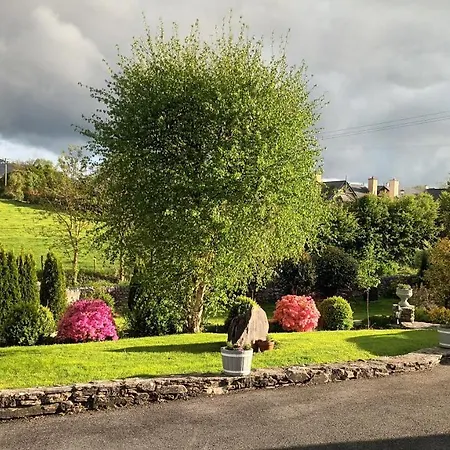 Laburnum ケンメア