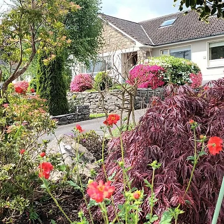 Laburnum ケンメア