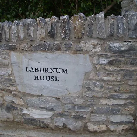 Laburnum * Kenmare